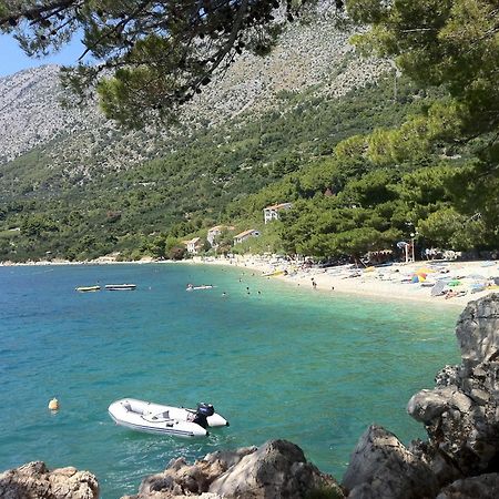 Apartments Vile Holiday Živogošće Esterno foto