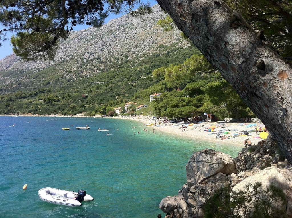 Apartments Vile Holiday Živogošće Esterno foto