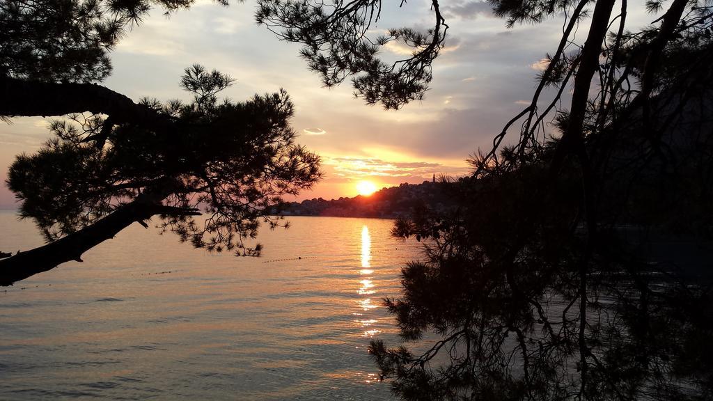 Apartments Vile Holiday Živogošće Esterno foto