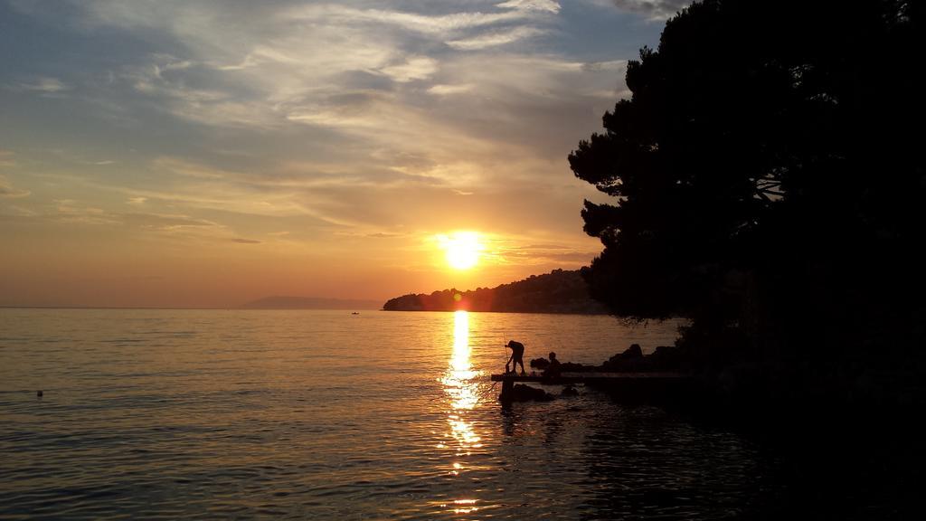 Apartments Vile Holiday Živogošće Esterno foto